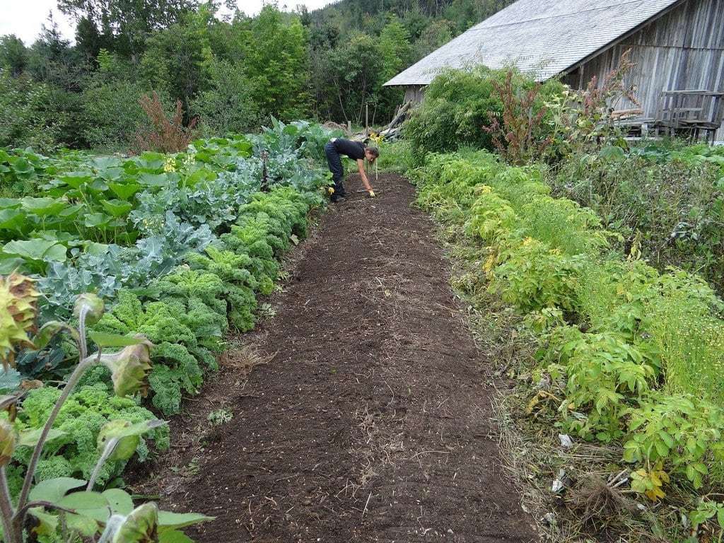 Planter au bon moment selon les saisons